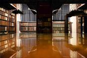 nottebohmzaal antwerpen 9-2024 0765